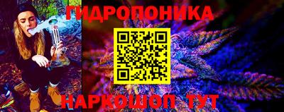 сатива Малгобек