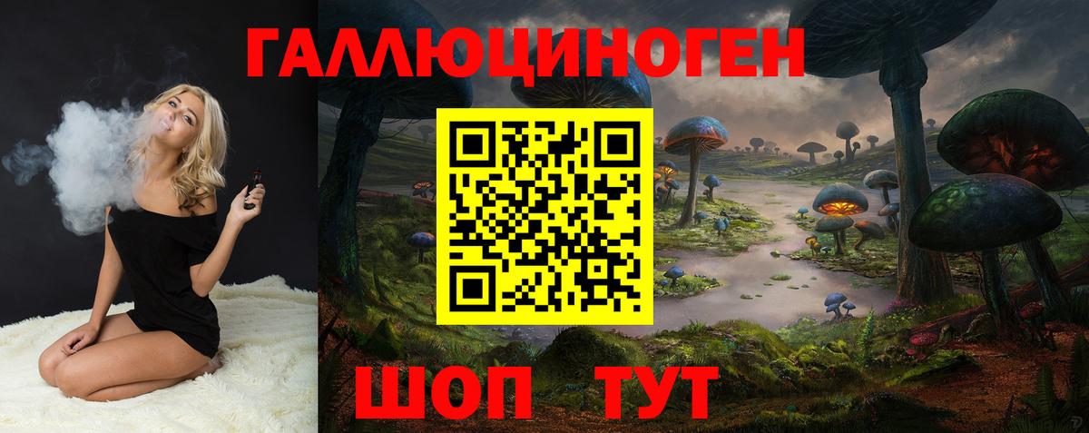 Псилоцибиновые грибы Psilocybine cubensis Ухта